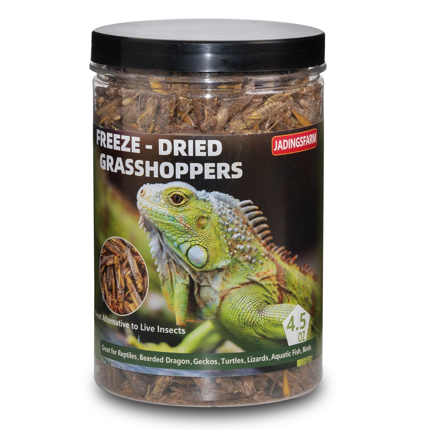 JADINGSFARM Freeze Dried Grasshoppers – 4.5 Oz High Protein Freeze Dried Grasshoppers for Reptiles, Food for Bearded Dragons Lizards, Geckos, Birds, Hedgehogs