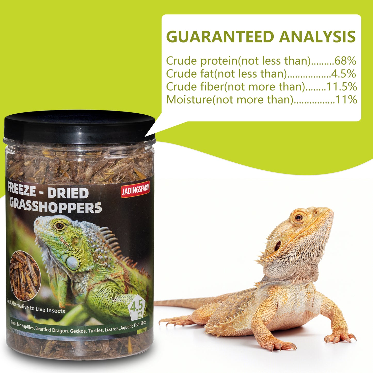 JADINGSFARM Freeze Dried Grasshoppers – 4.5 Oz High Protein Freeze Dried Grasshoppers for Reptiles, Food for Bearded Dragons Lizards, Geckos, Birds, Hedgehogs