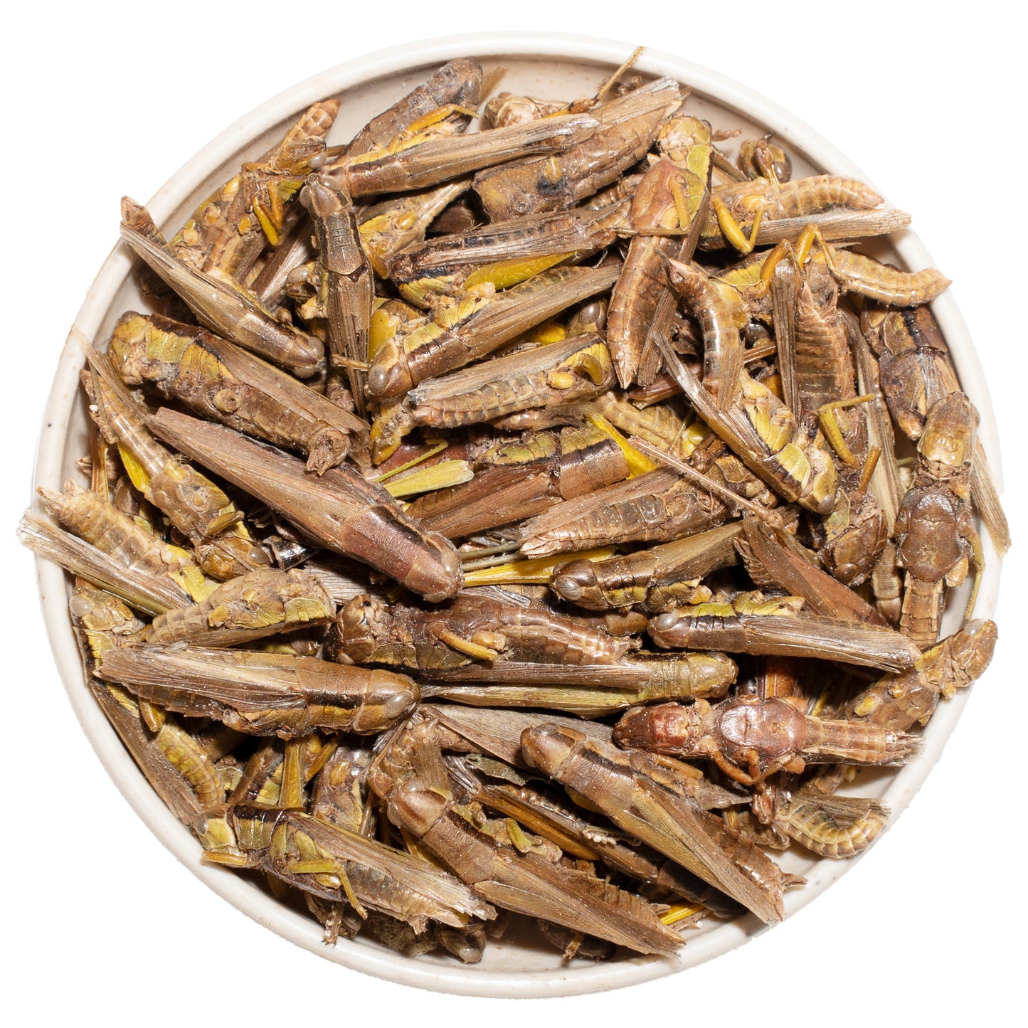 JADINGSFARM Freeze Dried Grasshoppers – 4.5 Oz High Protein Freeze Dried Grasshoppers for Reptiles, Food for Bearded Dragons Lizards, Geckos, Birds, Hedgehogs