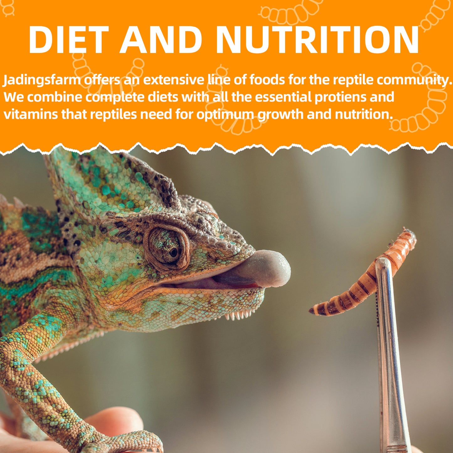 JADINGSFARM 6 Pack Canned Mealworms for Reptiles, Fish, Birds and Small Animals, Meal Worms, Healthy High Protein Treat, Reptile Bird Fish Food 7.2 Ounces Total