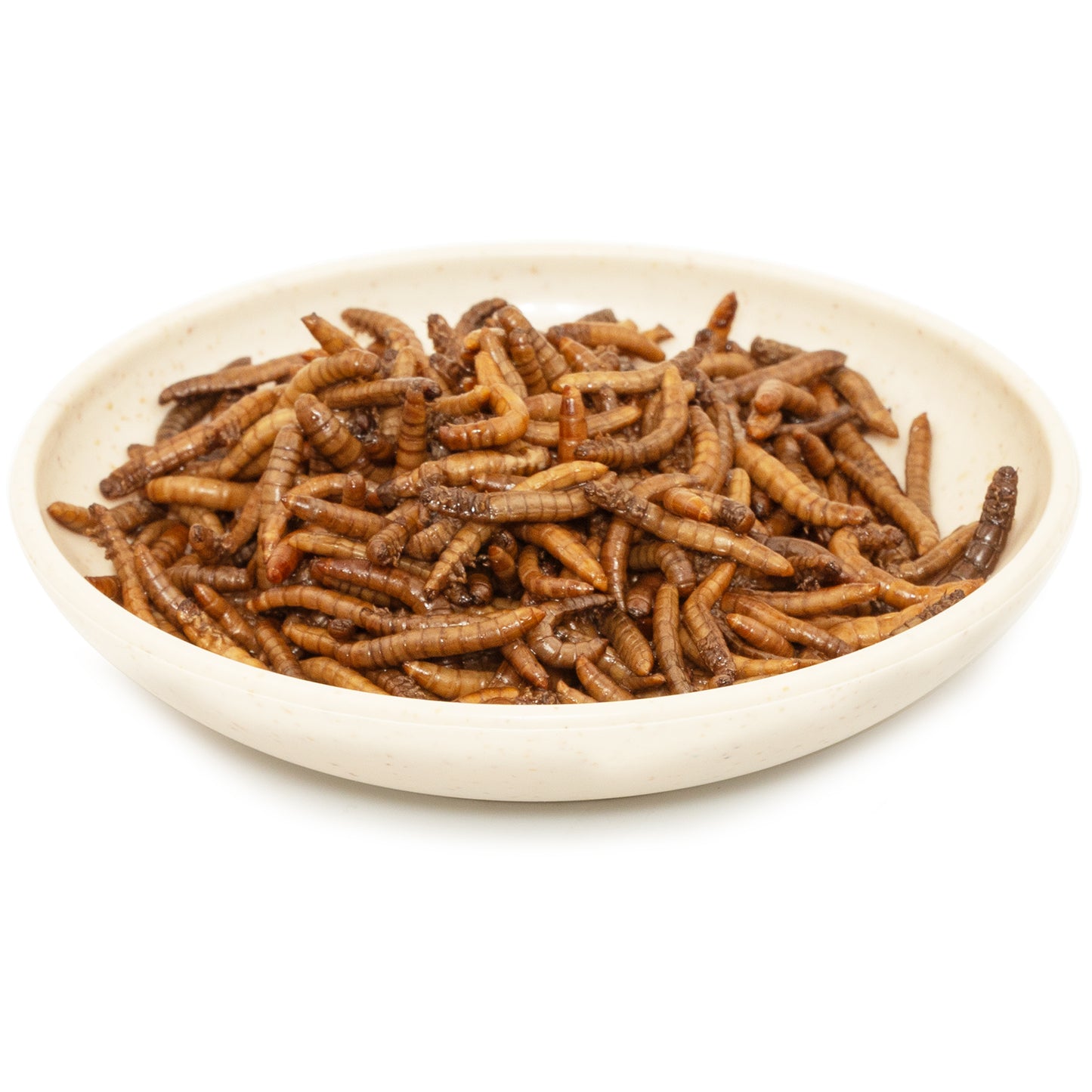 JADINGSFARM 6 Pack Canned Mealworms for Reptiles, Fish, Birds and Small Animals, Meal Worms, Healthy High Protein Treat, Reptile Bird Fish Food 7.2 Ounces Total