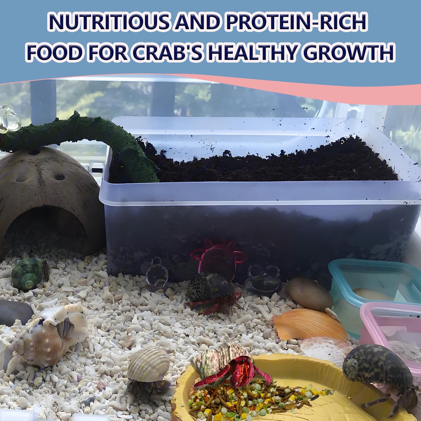 Hermit Crab Food, 4 oz Buffet Blend Mix with Mealworms, Black Soldier Fly Larvae and vegetables, Buffet Blend for Hermit Crab, Hermit Crab Food Wholesome Mix