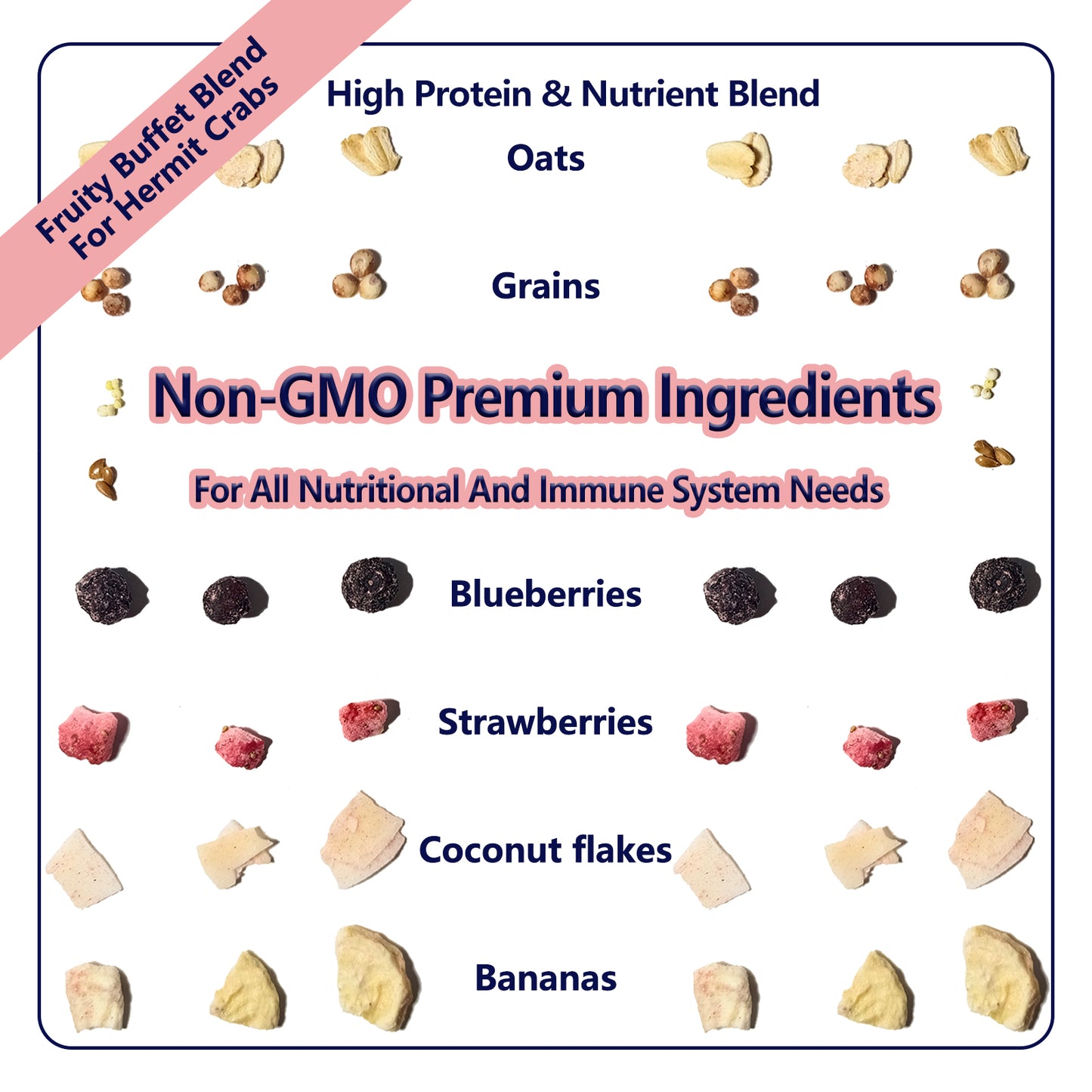 JADINGSFARM Fruity Buffet Blend Diet, Food for Hermit Crabs, All Natural Hermit Crab Food, Hermit Crab Treats, High Protein & Nutrient Blend Diet of Oats, Blueberries, Strawberry, Banana, Sprouted Seeds Mix for Hermit Crabs.