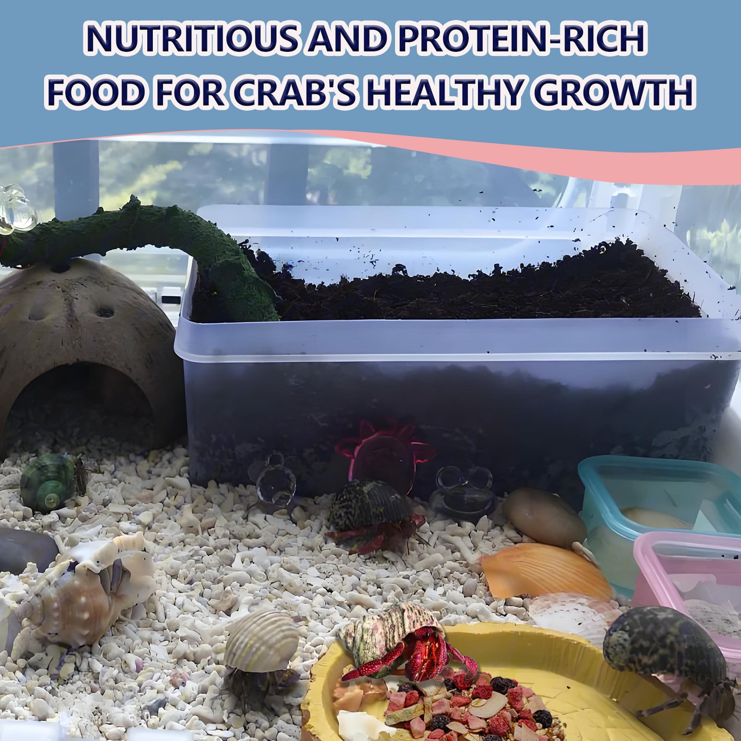 JADINGSFARM Fruity Buffet Blend Diet, Food for Hermit Crabs, All Natural Hermit Crab Food, Hermit Crab Treats, High Protein & Nutrient Blend Diet of Oats, Blueberries, Strawberry, Banana, Sprouted Seeds Mix for Hermit Crabs.