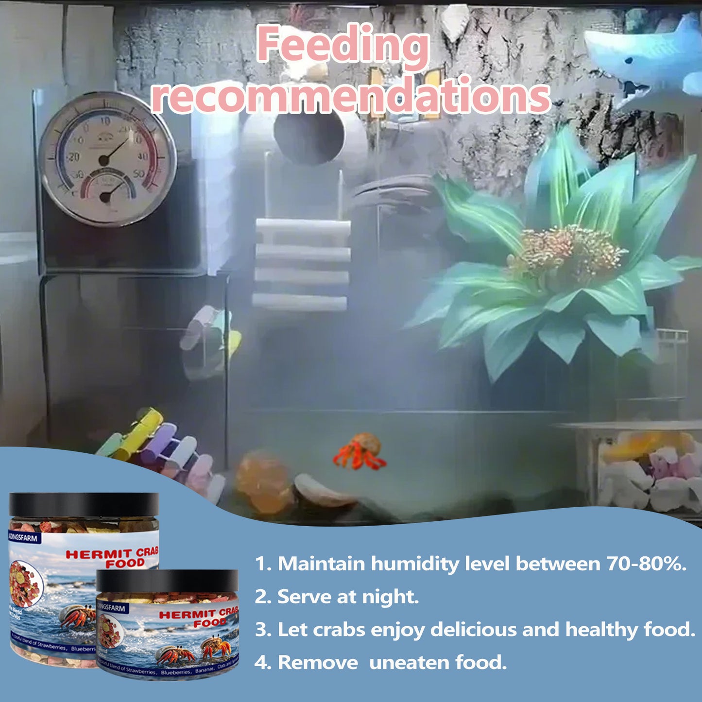 JADINGSFARM Fruity Buffet Blend Diet, Food for Hermit Crabs, All Natural Hermit Crab Food, Hermit Crab Treats, High Protein & Nutrient Blend Diet of Oats, Blueberries, Strawberry, Banana, Sprouted Seeds Mix for Hermit Crabs.