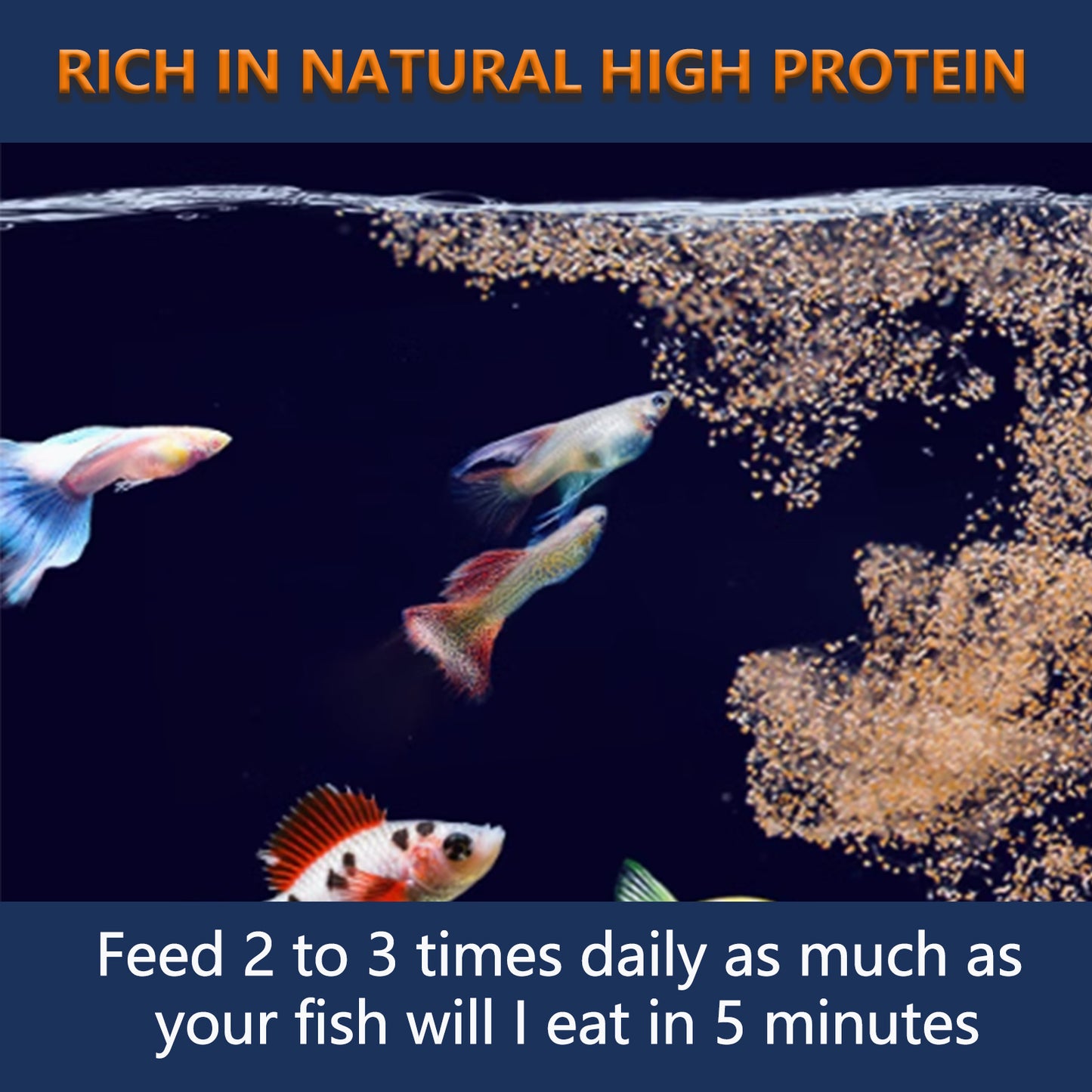 JADINGSFARM Brine Shrimp Fish Food, Ready to Use Aquarium Fish Food, Non-Living Instant Baby brine Shrimp, Food for Betta Saltwater Marine Freshwater Fish, Reef Aquariums, Corals, Axolotl,Jelly