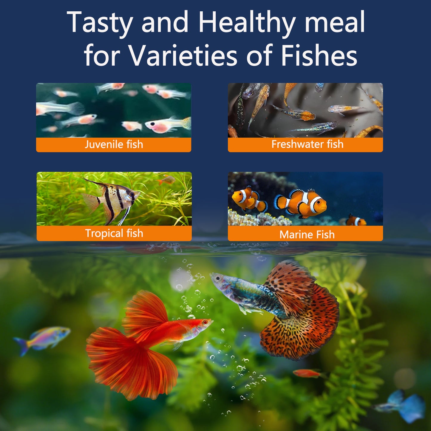 JADINGSFARM Brine Shrimp Fish Food, Ready to Use Aquarium Fish Food, Non-Living Instant Baby brine Shrimp, Food for Betta Saltwater Marine Freshwater Fish, Reef Aquariums, Corals, Axolotl,Jelly