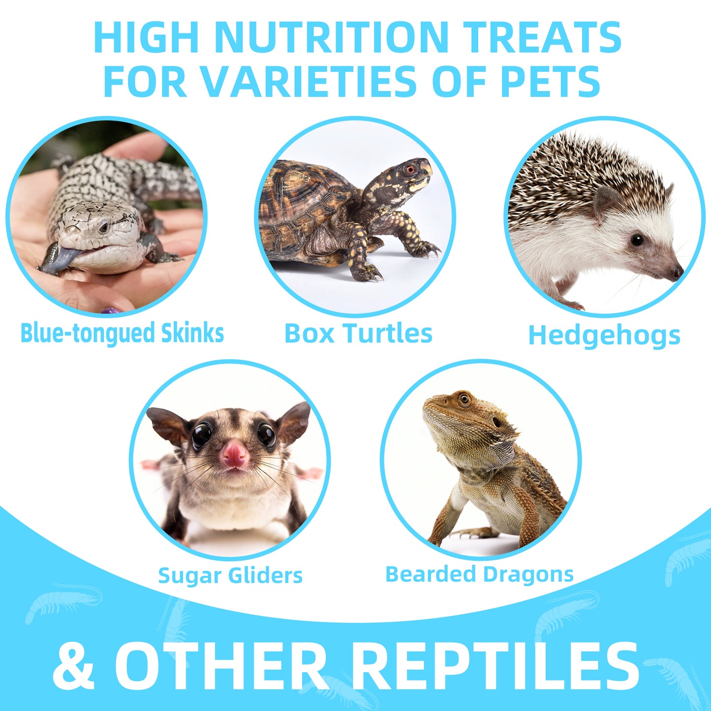 3.5 Oz Freeze Dried River Shrimp Turtle Food, Shrimp for Turtle, Nutrient Rich Treat for Reptiles, Sugar Gliders, Hedgehogs, Tropical Fish