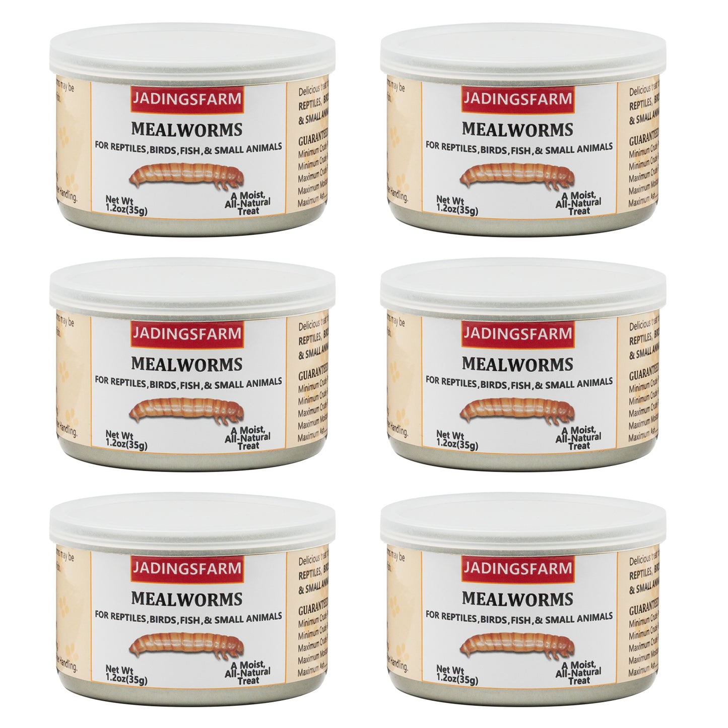 JADINGSFARM 6 Pack Canned Mealworms for Reptiles, Fish, Birds and Small Animals, Meal Worms, Healthy High Protein Treat, Reptile Bird Fish Food 7.2 Ounces Total