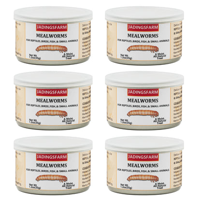JADINGSFARM 6 Pack Canned Mealworms for Reptiles, Fish, Birds and Small Animals, Meal Worms, Healthy High Protein Treat, Reptile Bird Fish Food 7.2 Ounces Total