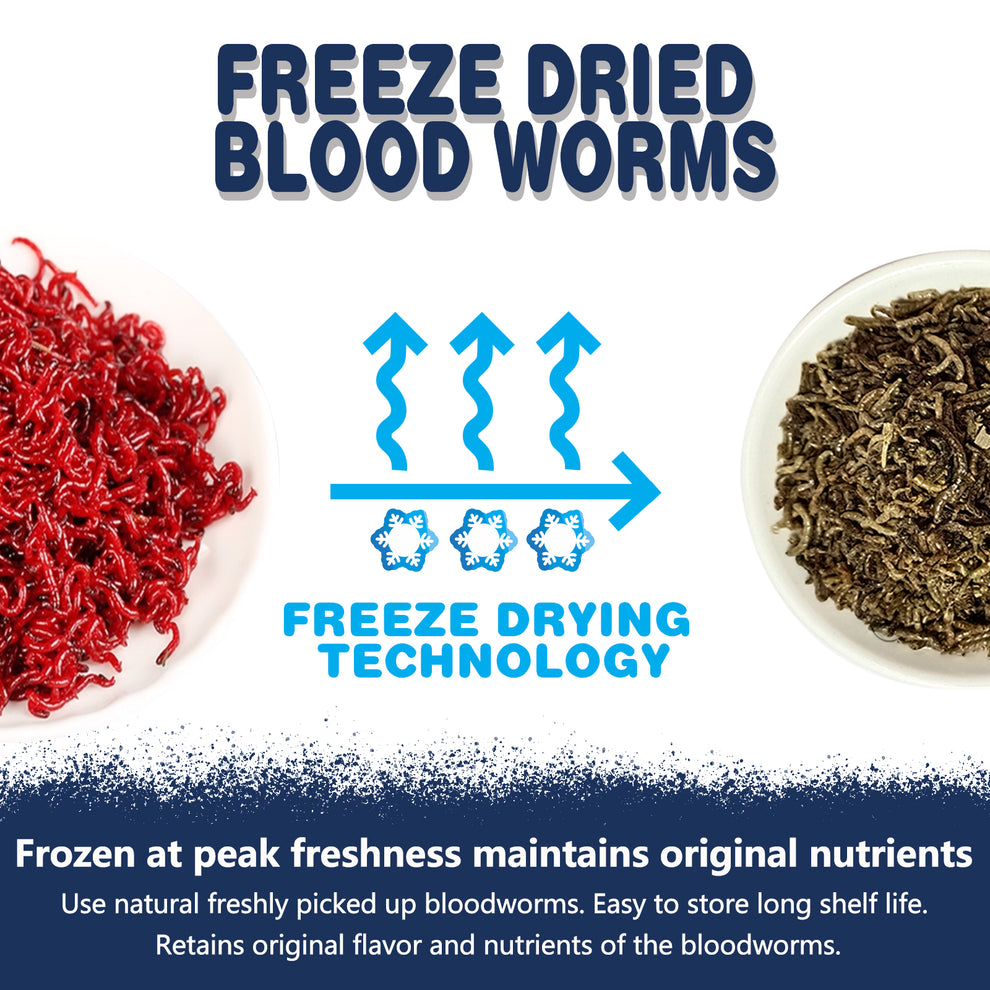 Bloodworms JADINGSFRAM Blood Worms Fish Food 3.5 oz, Freeze Dried Bloodworms for ...