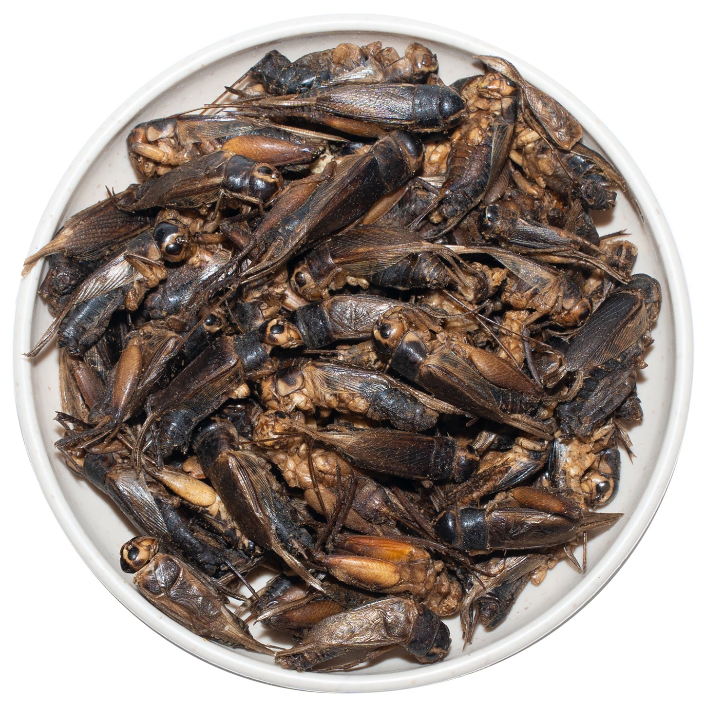 JADINGSFARM Freeze Dried Crickets – 4.5 Oz High Protein Freeze Dried Crickets, Food for Reptiles, Bearded Dragons, Lizards, Geckos, Birds, Fish,Hedgehogs, Bearded Dragon Food