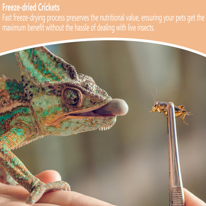 JADINGSFARM Freeze Dried Crickets – 4.5 Oz High Protein Freeze Dried Crickets, Food for Reptiles, Bearded Dragons, Lizards, Geckos, Birds, Fish,Hedgehogs, Bearded Dragon Food
