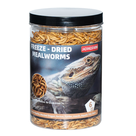 JADINGSFARM Freeze Dried Mealworms, 6 Oz High Protein Freeze Dried Meal Worms, Nutrient-Packed, Ideal for Reptiles, Bearded Dragons, Lizards, Geckos, Birds, Hedgehogs