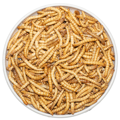 JADINGSFARM Freeze Dried Mealworms, 6 Oz High Protein Freeze Dried Meal Worms, Nutrient-Packed, Ideal for Reptiles, Bearded Dragons, Lizards, Geckos, Birds, Hedgehogs