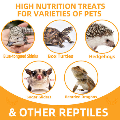 JADINGSFARM Freeze Dried Mealworms, 6 Oz High Protein Freeze Dried Meal Worms, Nutrient-Packed, Ideal for Reptiles, Bearded Dragons, Lizards, Geckos, Birds, Hedgehogs