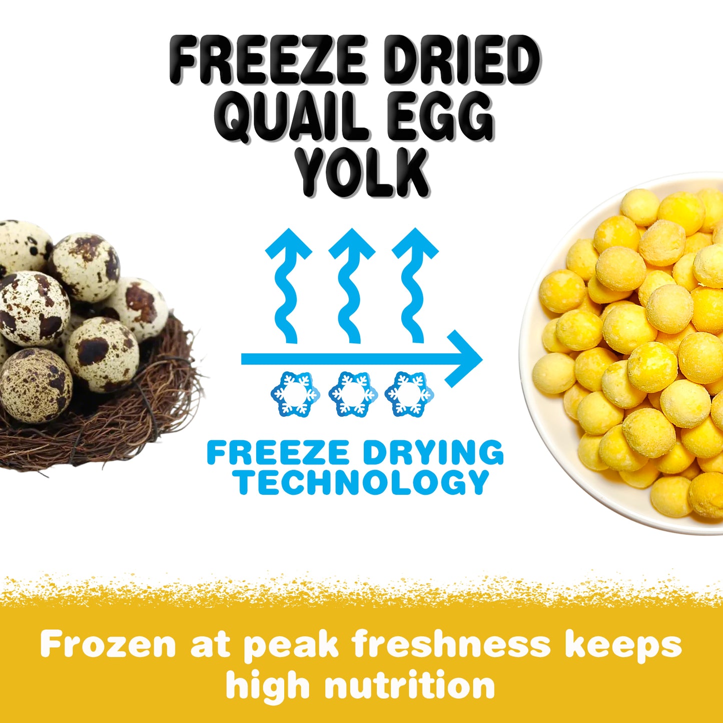 Freeze Dried Quail Egg Yolk Dog Treats, 8.8 oz Limited Ingredient , Healthy Tasty Freeze-Dried Pet Food for Dogs Cats, Egg yolk for cats, Freeze dried dog treats