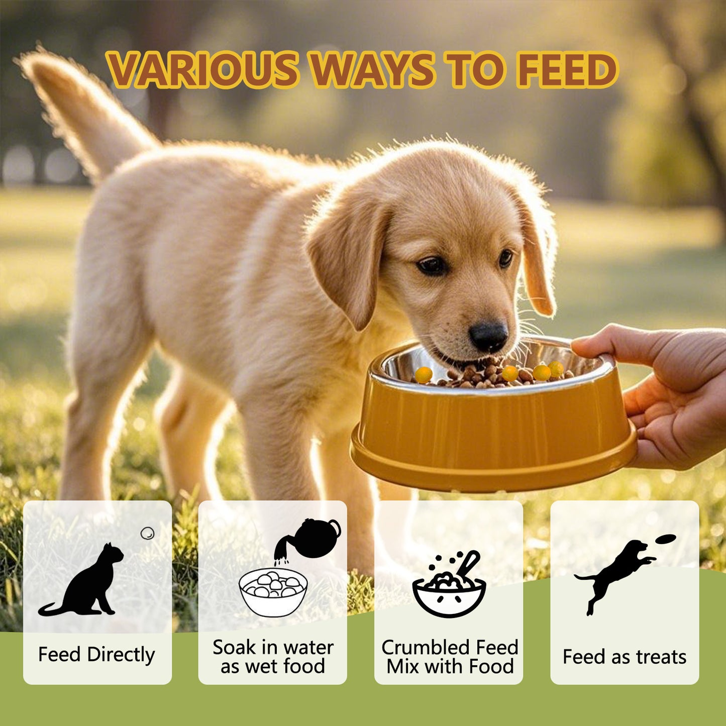 Freeze Dried Quail Egg Yolk Dog Treats, 8.8 oz Limited Ingredient , Healthy Tasty Freeze-Dried Pet Food for Dogs Cats, Egg yolk for cats, Freeze dried dog treats