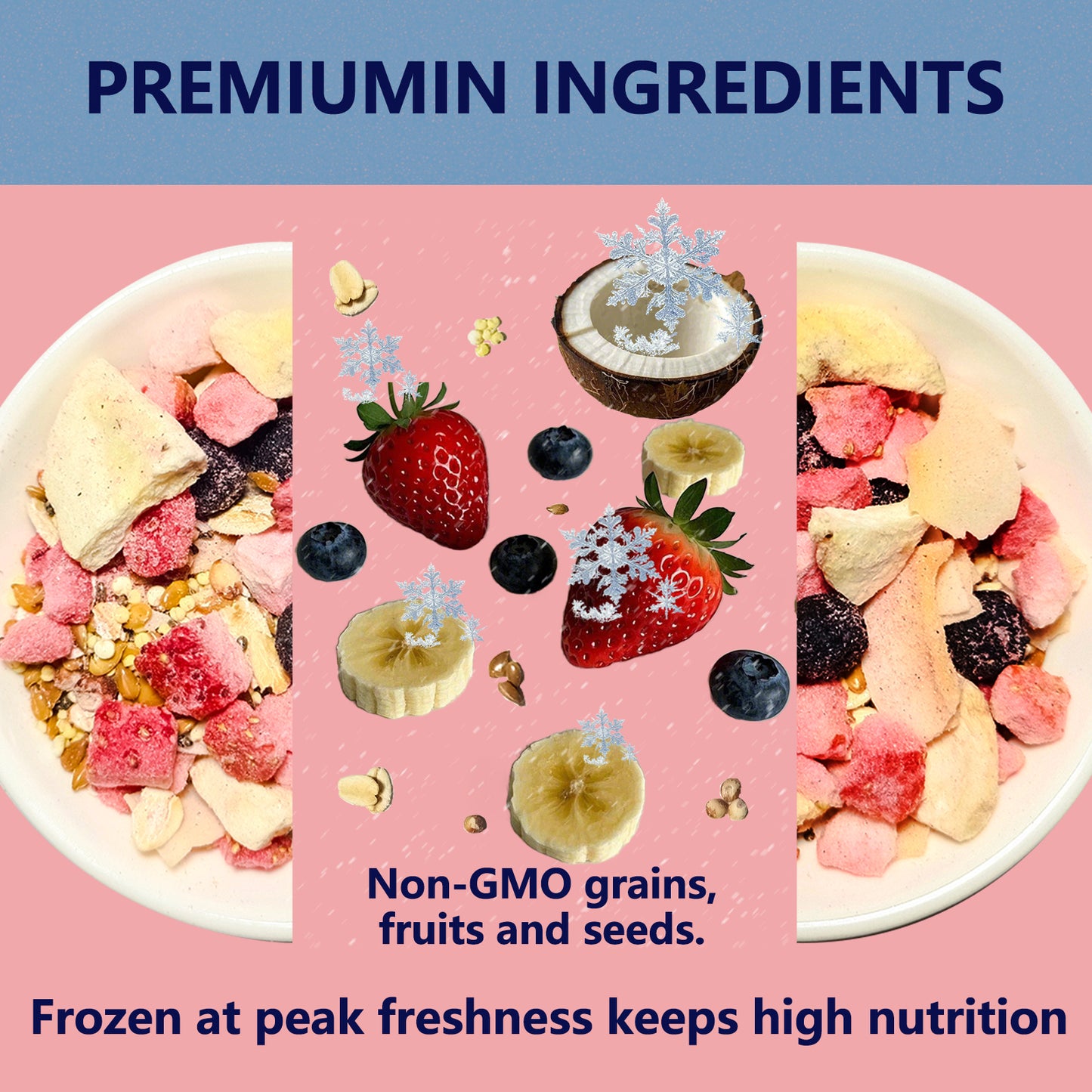 JADINGSFARM Fruity Buffet Blend Diet, Food for Hermit Crabs, All Natural Hermit Crab Food, Hermit Crab Treats, High Protein & Nutrient Blend Diet of Oats, Blueberries, Strawberry, Banana, Sprouted Seeds Mix for Hermit Crabs.