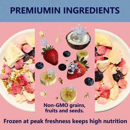 JADINGSFARM Fruity Buffet Blend Diet, Food for Hermit Crabs, All Natural Hermit Crab Food, Hermit Crab Treats, High Protein & Nutrient Blend Diet of Oats, Blueberries, Strawberry, Banana, Sprouted Seeds Mix for Hermit Crabs.