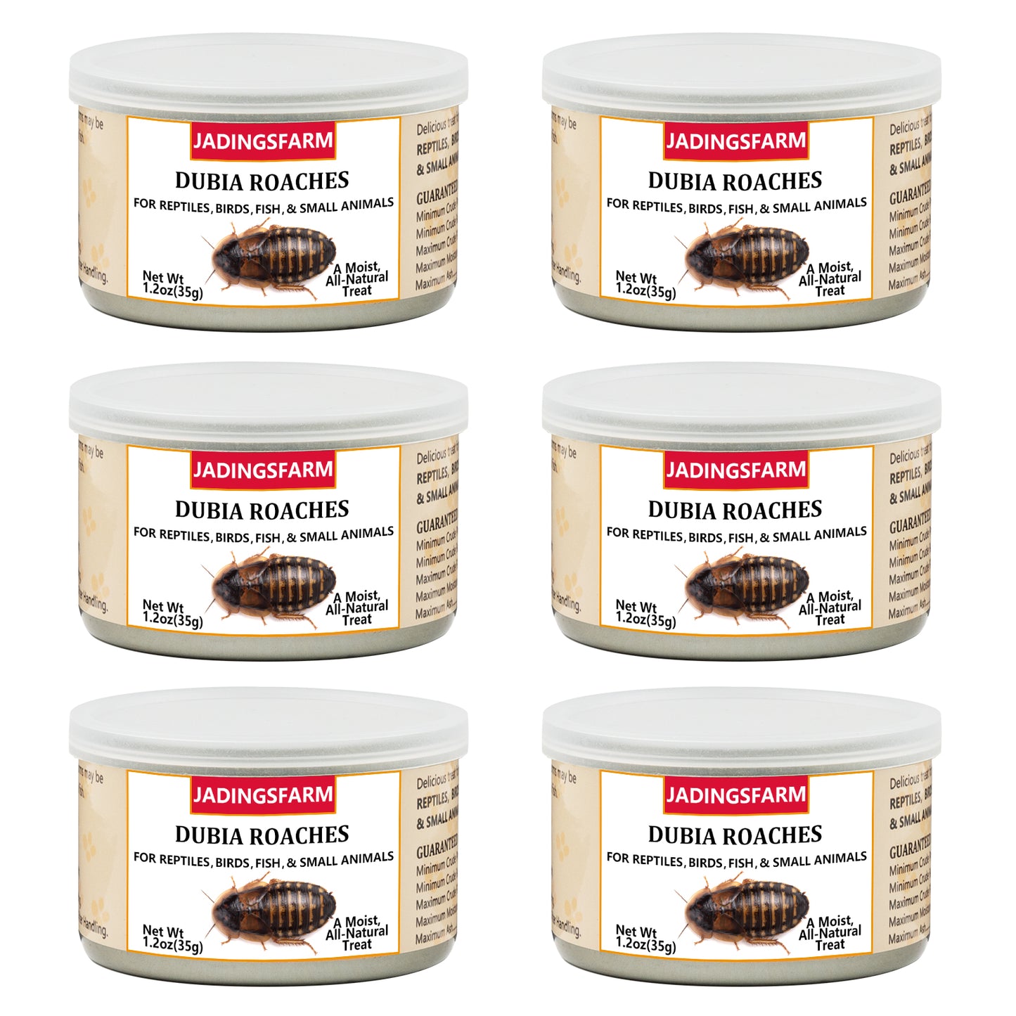 6 Pack Canned Dubia Roaches for Reptiles, Birds and Small Animals, Dubia Roaches, Healthy High Protein Treat, Reptile Food 7.2 Ounces Total