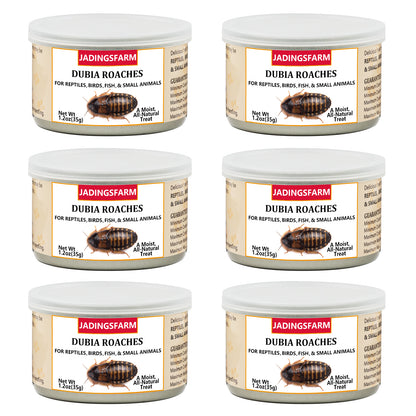 6 Pack Canned Dubia Roaches for Reptiles, Birds and Small Animals, Dubia Roaches, Healthy High Protein Treat, Reptile Food 7.2 Ounces Total