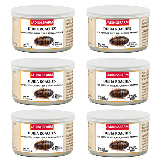 6 Pack Canned Dubia Roaches for Reptiles, Birds and Small Animals, Dubia Roaches, Healthy High Protein Treat, Reptile Food 7.2 Ounces Total