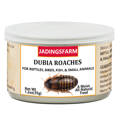 6 Pack Canned Dubia Roaches for Reptiles, Birds and Small Animals, Dubia Roaches, Healthy High Protein Treat, Reptile Food 7.2 Ounces Total