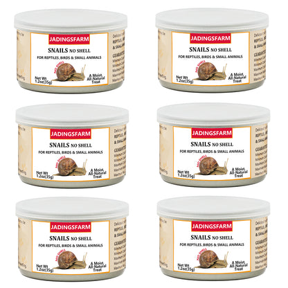 JADINGSFARM 6 Pack Canned Snails for Reptiles, Fish, Birds and Small Animals, Snails, Healthy High Protein Treat, Reptile Bird Fish Food 7.2 Ounces Total