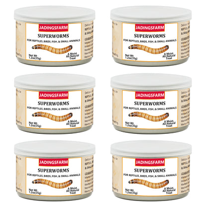 JADINGSFARM 6 Pack Canned Superworms for Reptiles, Fish, Birds and Small Animals, Super Worms, Healthy High Protein Treat for Reptile Bird Fish Food 7.2 Ounces Total