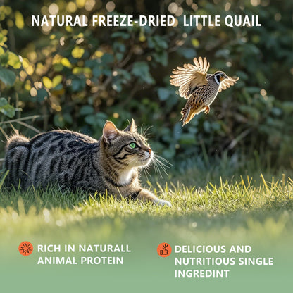 Freeze Dried Little Quail, 4.5 Oz Freeze dried Quail Dogs Cat Treats, Single Ingredient Freeze Dried Cat and Dog Treats Delicious Training Snacks, Natural Cat Food Healthy Animal Protein Pet Food