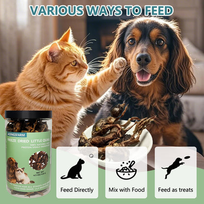 Freeze Dried Little Quail, 4.5 Oz Freeze dried Quail Dogs Cat Treats, Single Ingredient Freeze Dried Cat and Dog Treats Delicious Training Snacks, Natural Cat Food Healthy Animal Protein Pet Food