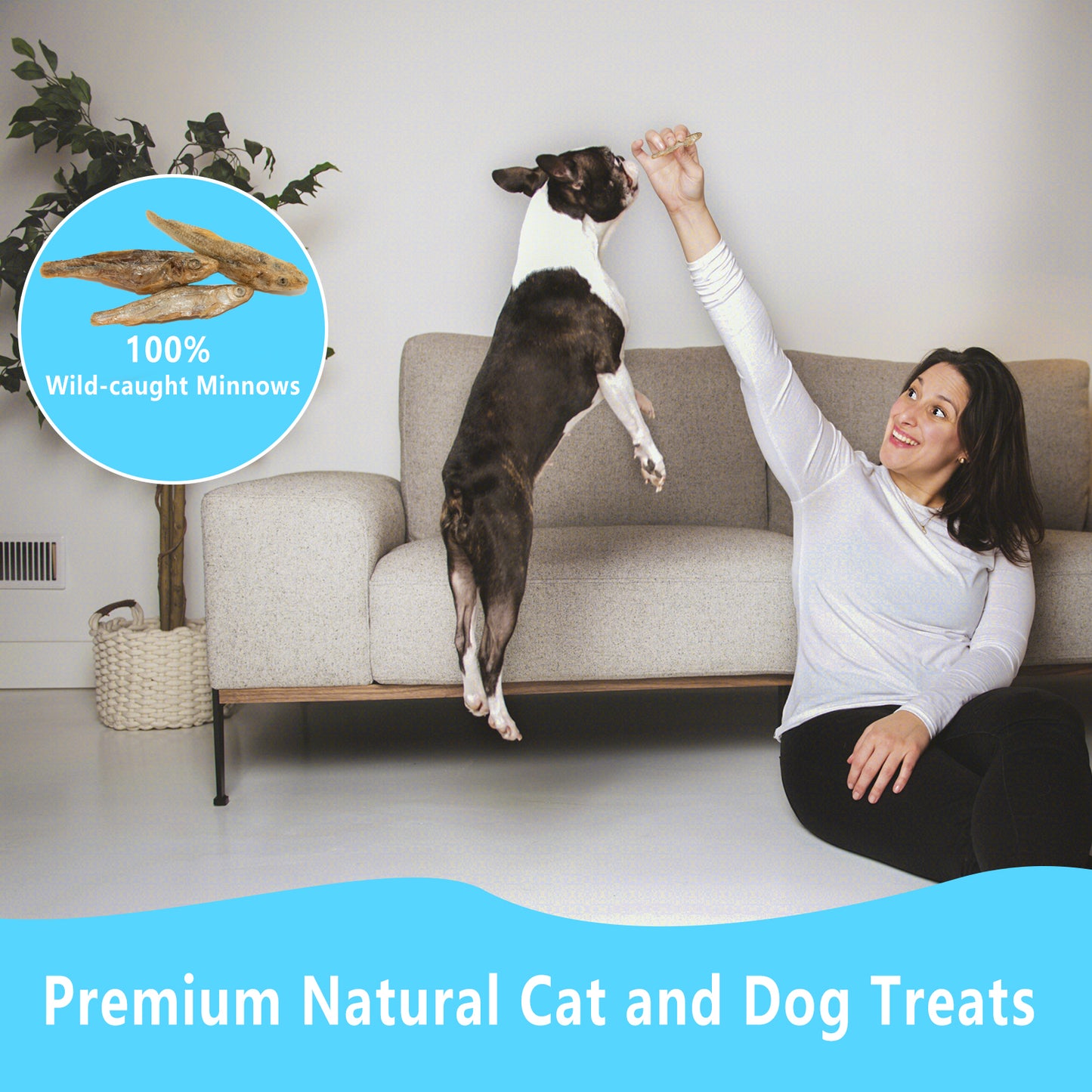 JADINGSFARM Minnows - Freeze Dried Minnows - 100% Natural Premium Cat & Dog Treat