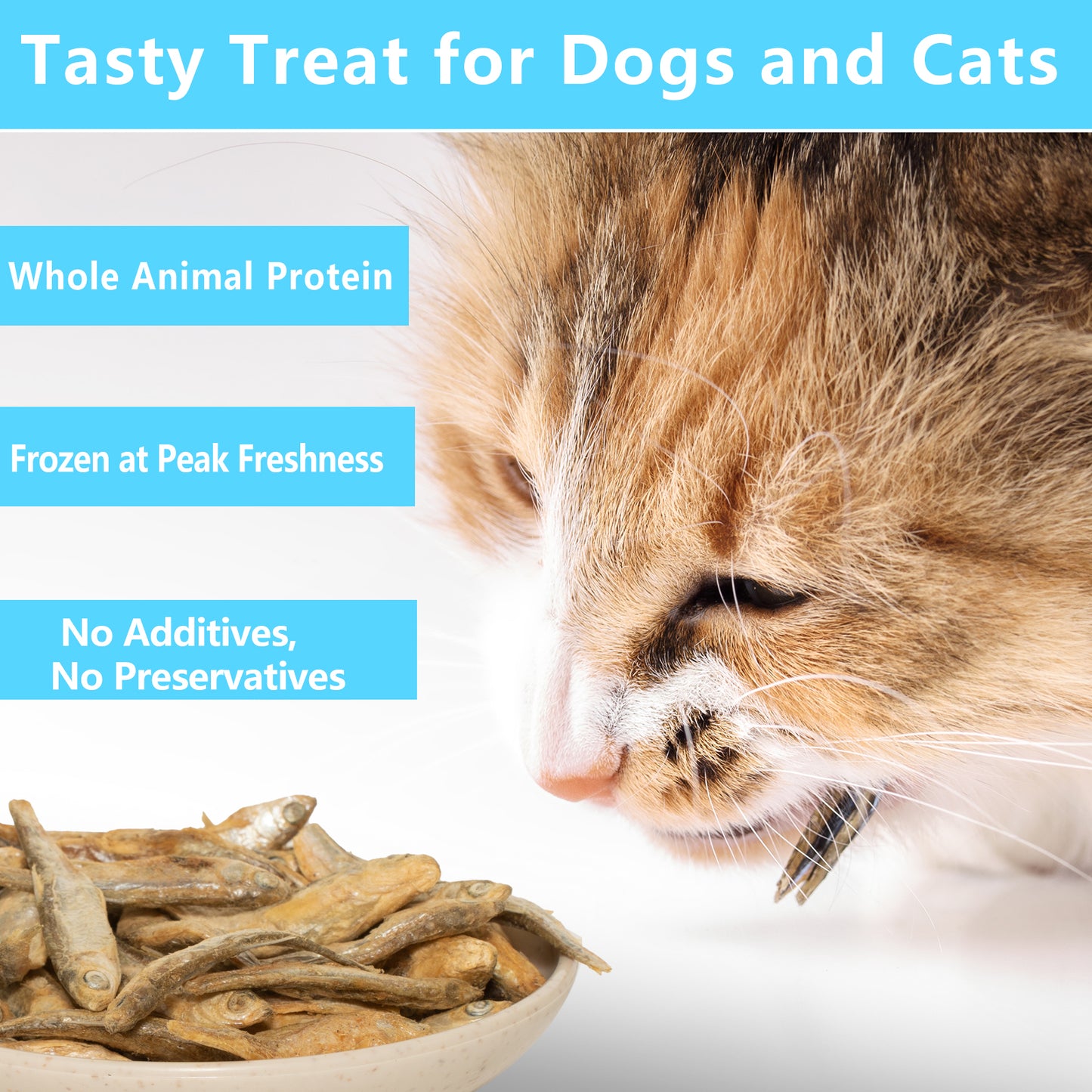 JADINGSFARM Minnows - Freeze Dried Minnows - 100% Natural Premium Cat & Dog Treat