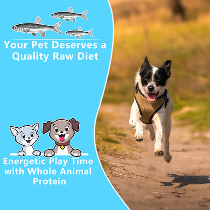 JADINGSFARM Minnows - Freeze Dried Minnows - 100% Natural Premium Cat & Dog Treat
