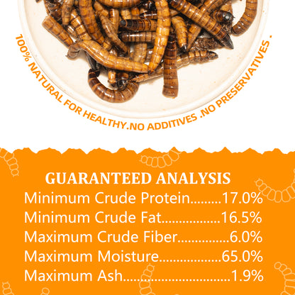 JADINGSFARM 6 Pack Canned Superworms for Reptiles, Fish, Birds and Small Animals, Super Worms, Healthy High Protein Treat for Reptile Bird Fish Food 7.2 Ounces Total