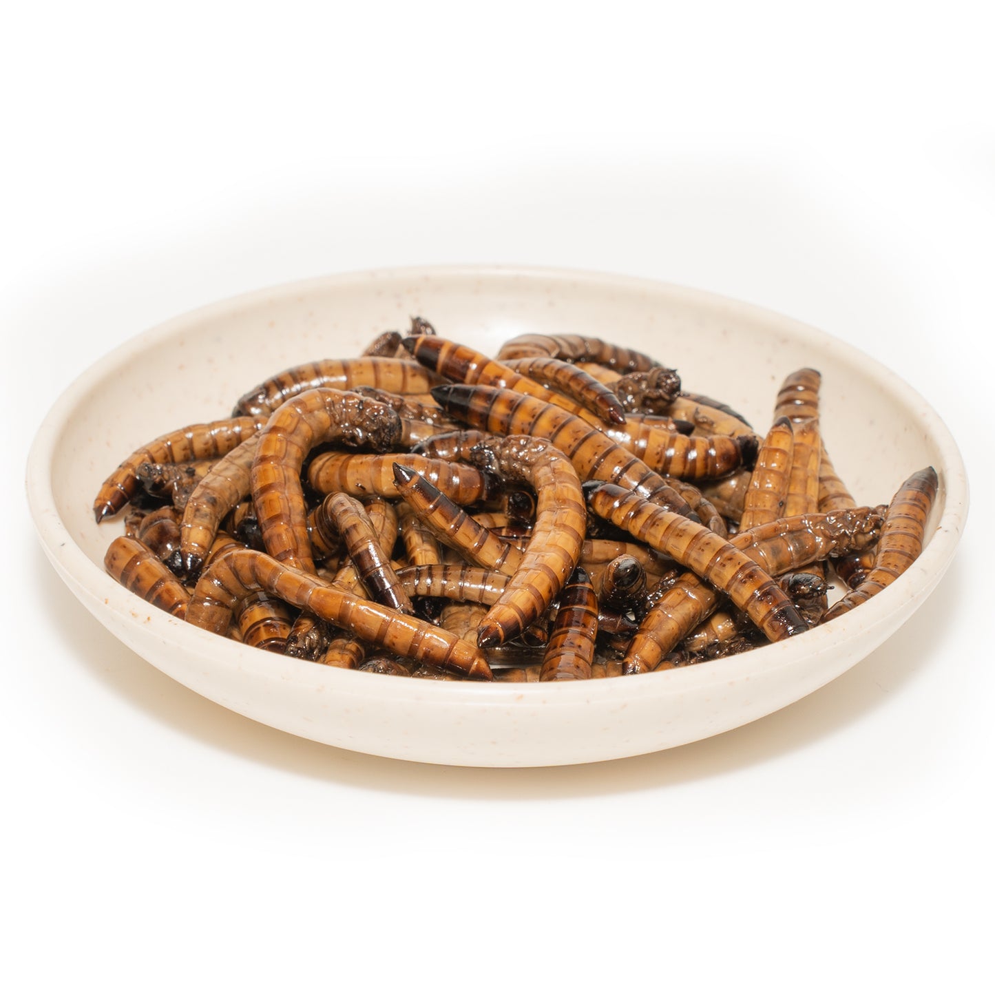 JADINGSFARM 6 Pack Canned Superworms for Reptiles, Fish, Birds and Small Animals, Super Worms, Healthy High Protein Treat for Reptile Bird Fish Food 7.2 Ounces Total